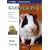 Guinea Pig (Collins Famliy Pet Guides)