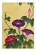 Price Comparison : Japanese Flowers Note Cards