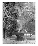 Gapstow Bridge View to Plaza Hotel in Snowstorm - Central Park, New York