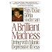 A Brilliant Madness