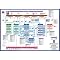 Prince 2 & Project Basics Top 10