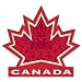 Canada Hockey Team car bumper sticker decal 5" x 4"