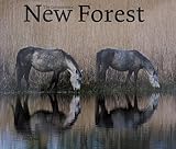 The commoners' New Forest