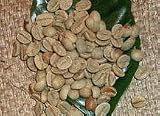 �u���W���@�Z���[�h�@���㊮�n �i������500g�j�u����20%���ʒ��I�v-���i�e�҂��j-������i���[�X�gNo.4.5)