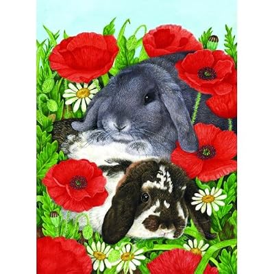 Red Poppies 300pc Jigsaw Puzzle by Avril Haynes
