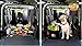 Trunk Organizer by 1 FOR THE ROAD, Grocery Carrier & Storage; Auto Car SUV Truck Minivan; Folds Flat, Superior Quality; 100% SATISFACTION ASSURANCE; For Emergency Supplies, Sports Equipment, Groceries