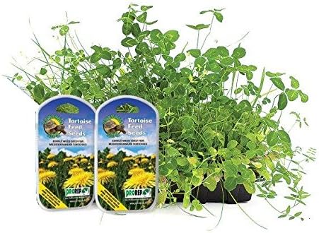 ProRep KPT010 Tortoise Feed Seeds