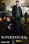 Supernatural - Season 8 Complete [DVD]