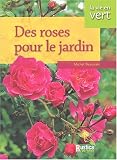 Roses au jardin