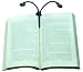 Zelco/Westminister Hydra Two-Headed Booklight, Black