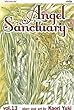 Angel Sanctuary vol.13 (Angel Sanctuary)