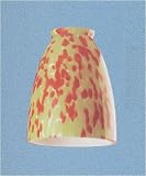 Westinghouse Lighting 81360 Citrus Ceiling Fan Light Shade