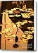 Golden Lotus Pond Canvas Print / Canvas Art - Artist Yali Shi