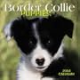 Border Collie Puppies 2004 Calendar