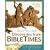 Discoveries from Bible Times