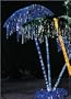 Blue Lighted Palm Trees