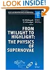 From Twilight to Highlight: The Physics of Supernovae: Proceedings of the ESO/MPA/MPE Workshop Held at Garching, Germany, 29-31 July 2002 (ESO Astrophysics Symposia)