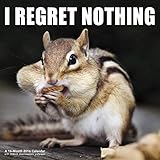 I REGRET NOTHING Animal Memes Wall Calendar (2016)