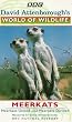 David Attenborough's World Of Wildlife 9 - Meerkats United / Meerkats Divided [VHS]