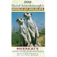 David Attenborough's World Of Wildlife 9 - Meerkats United / Meerkats Divided