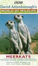 David Attenborough's World Of Wildlife 9 - Meerkats United / Meerkats Divided [VHS]