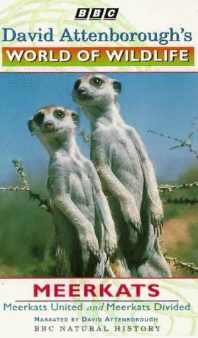 David Attenborough's World Of Wildlife 9 - Meerkats United / Meerkats Divided