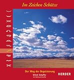 Produkt-Bild: Im Zeichen Sch&uuml;tze. Der Weg der Begeisterung