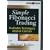 Simple Fibonacci Trading: Profitable Techniques Anyone Can Use