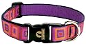 Ruby Cube - Lupine Adjustable Collars Large 1 in. x 16 in. - 28 in.
