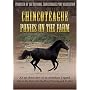 Chincoteague Ponies On The Farm