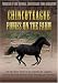 Chincoteague Ponies On The Farm