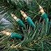 Clear Holiday Mini String Lights 100-Ct 27-ft Green Wire