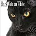 2016 Black Cats on White Calendar