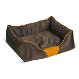 Scruffs Neon Box Bed, Chocolate, 60cm