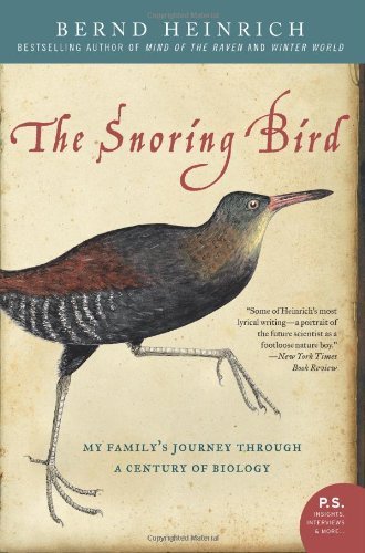 The Snoring Bird