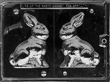 Cybrtrayd E100 5-Inch Bunny Chocolate/Candy Mold with Exclusive Cybrtrayd Copyrighted Chocolate Molding Instructions