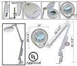 New 5X Magnifying Lamp Light Clamp Facial Skin Salon Equipment UL