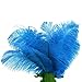 10pcs Home Decor Blue Ostrich Feathers