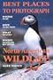 Best Places to Photograph North American Wildlife
