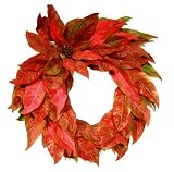 Good Tidings 8397309 Red Giant Poinsettia Wreath