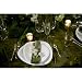 Twilight Saga Breaking Dawn Part 1 Wedding Reception of Edward Cullen and Bella Swan Dinnerware Set for Two Porcelain 10-piece By Carmona
