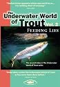 The Underwater World of Trout Volume 2: Feeding Lies