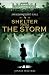Book Shelter from the Storm (Swallowcliffe Hall Trilogy)