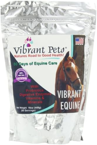 Vibrant Equine, 16 Ounce