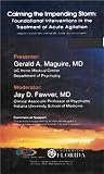 Calming the Impending Storm - Foundational Intervention in the Treatment of Acute Agitation [VHS Video & Study Guide]