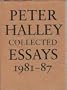 Peter Haley: Collected Essays, 1981-1987