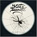The Spider's Lullabye