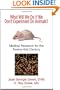 What Will We Do If We Don't Experiment On Animals? Medical Research for the Twenty-first Century