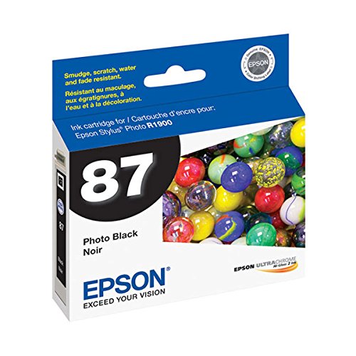Epson America T087120 Photo Black Ink Cart R1900