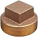 Lead Free Brass Pipe Fitting, Square Head Cored Plug, Class 125, 3/4